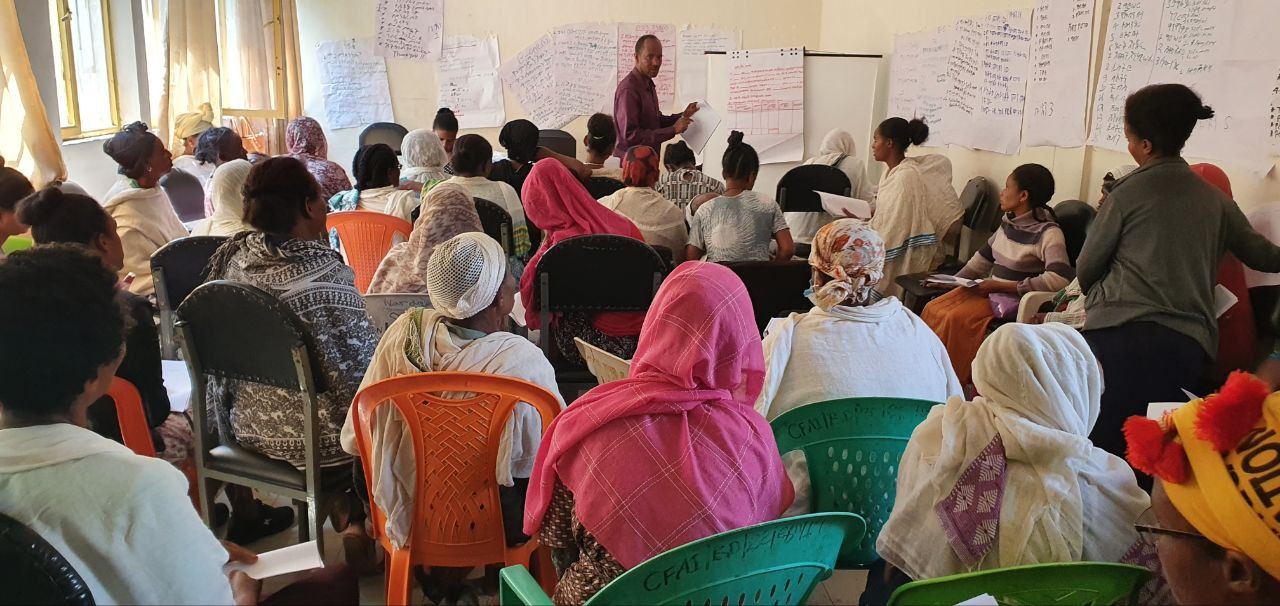 BBDS Training and Seed Money Support for Women with Disabilities in Bahir Dar photo 7