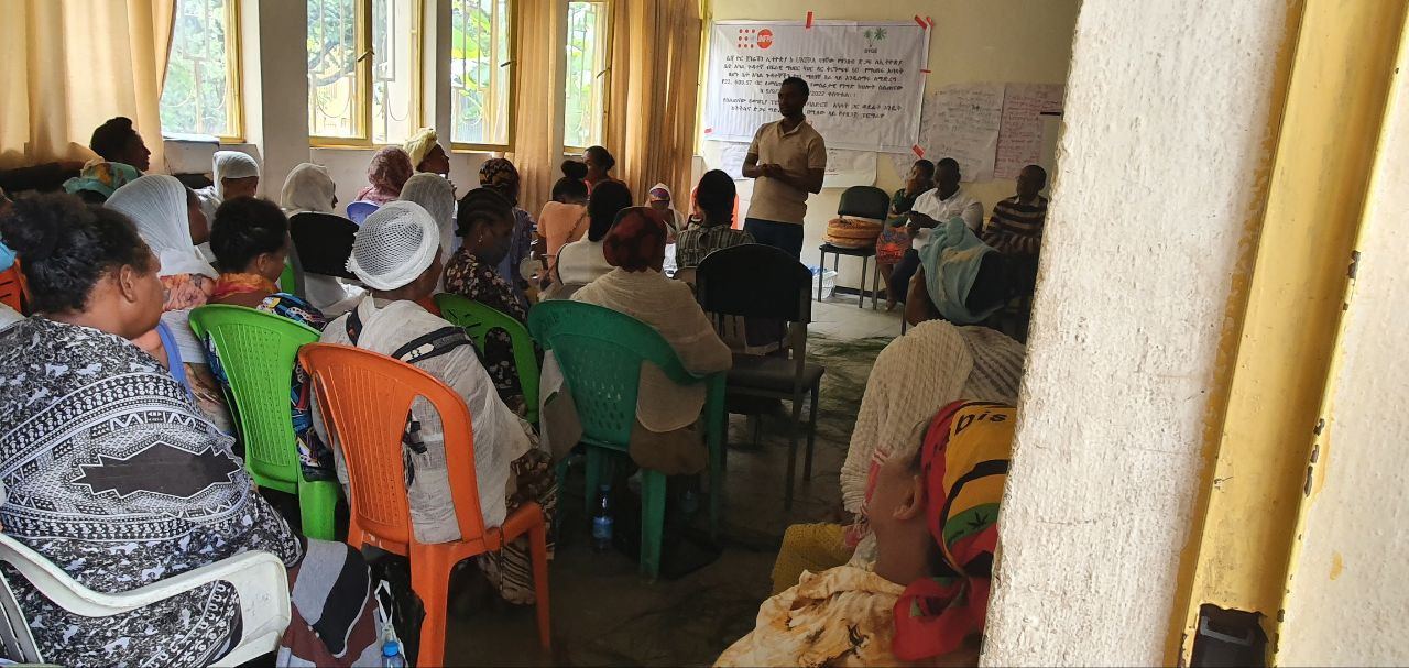 BBDS Training and Seed Money Support for Women with Disabilities in Bahir Dar photo 11
