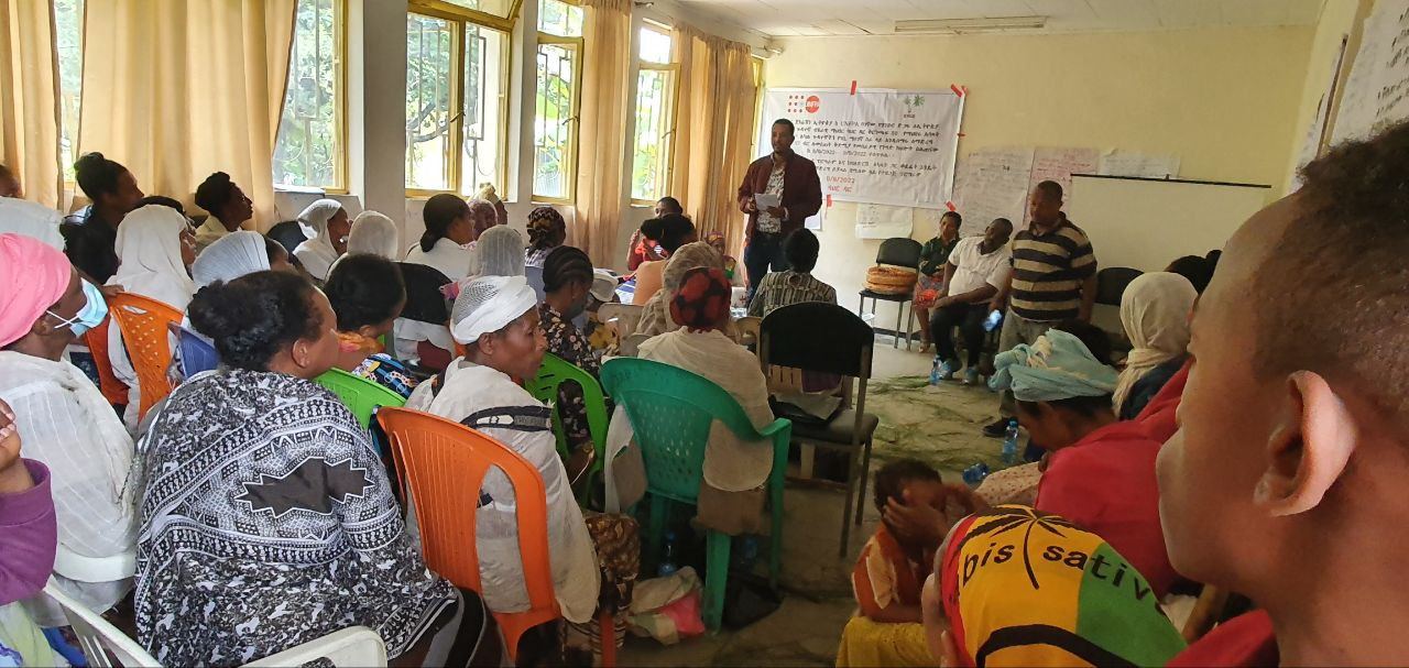 BBDS Training and Seed Money Support for Women with Disabilities in Bahir Dar photo 13