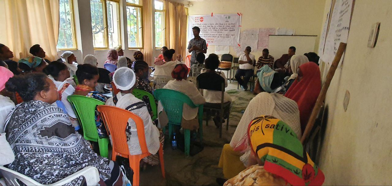 BBDS Training and Seed Money Support for Women with Disabilities in Bahir Dar photo 10