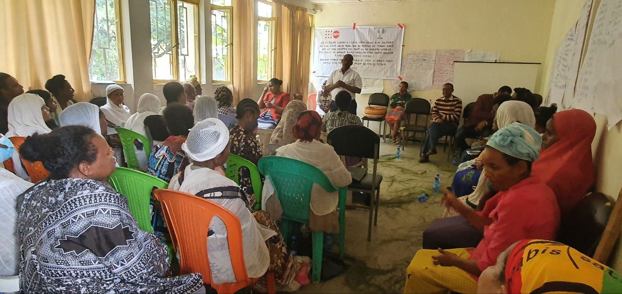 BBDS Training and Seed Money Support for Women with Disabilities in Bahir Dar photo 14