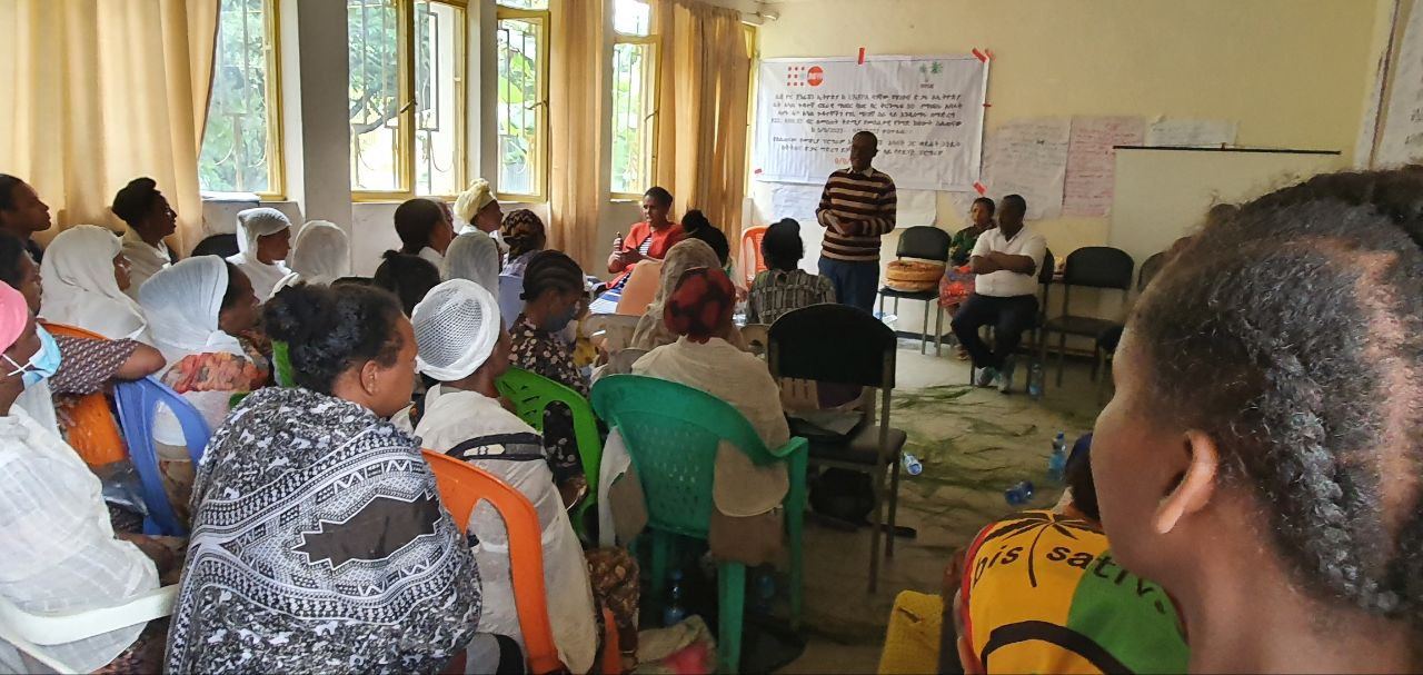 BBDS Training and Seed Money Support for Women with Disabilities in Bahir Dar photo 12