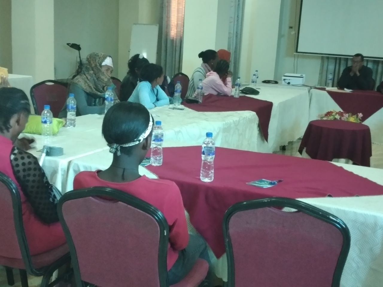 Panel Discussion with Key Stakeholders on Women with Disabilities photo 4
