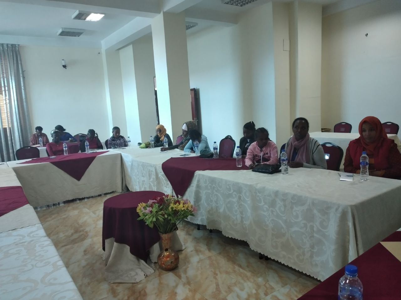 Panel Discussion with Key Stakeholders on Women with Disabilities photo 5
