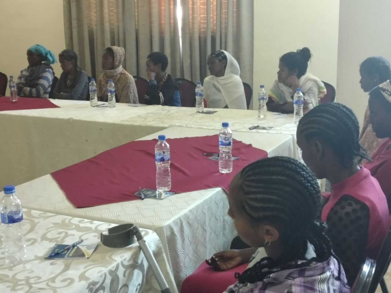 Panel Discussion with Key Stakeholders on Women with Disabilities photo 3