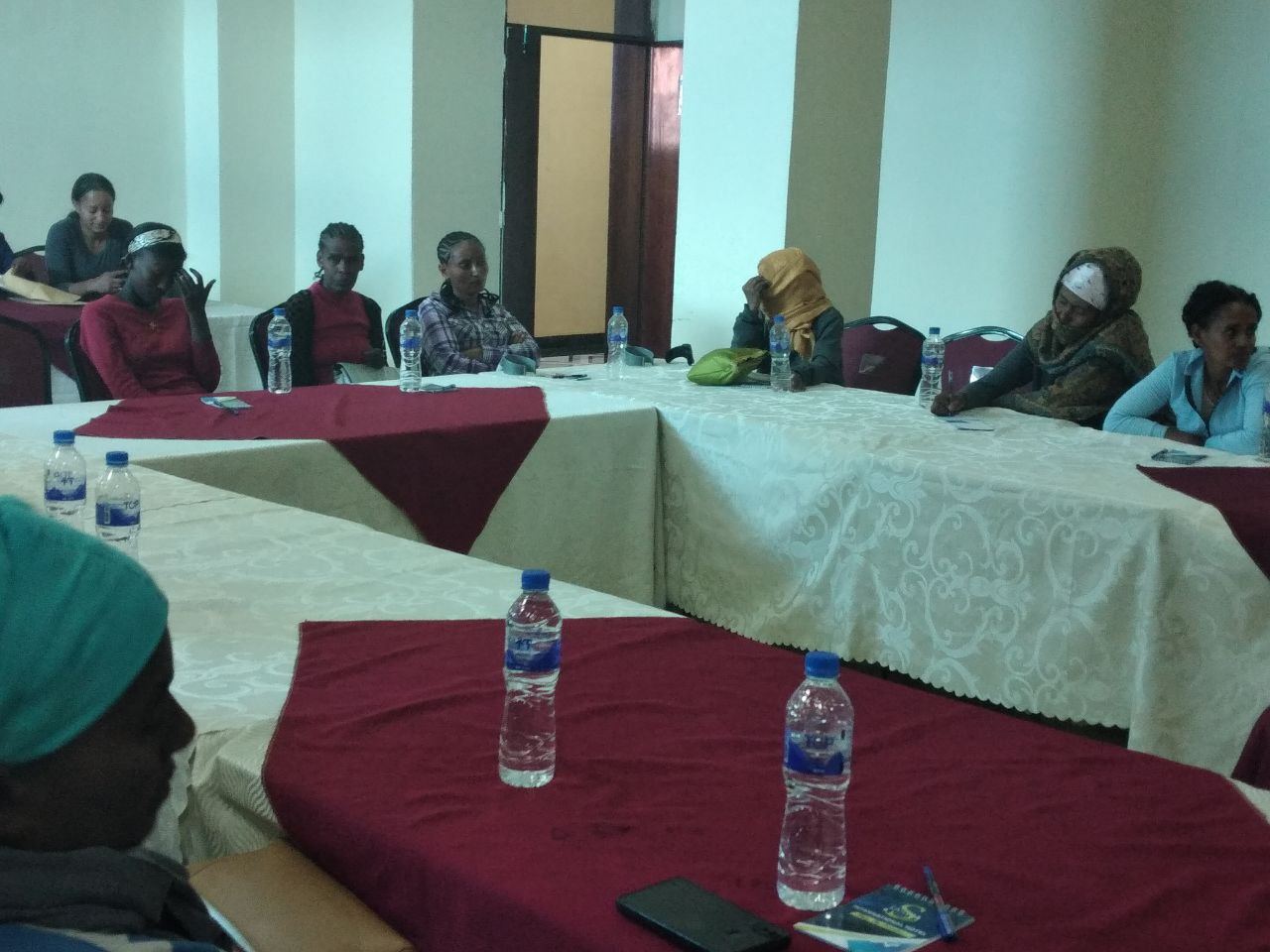Panel Discussion with Key Stakeholders on Women with Disabilities photo 1