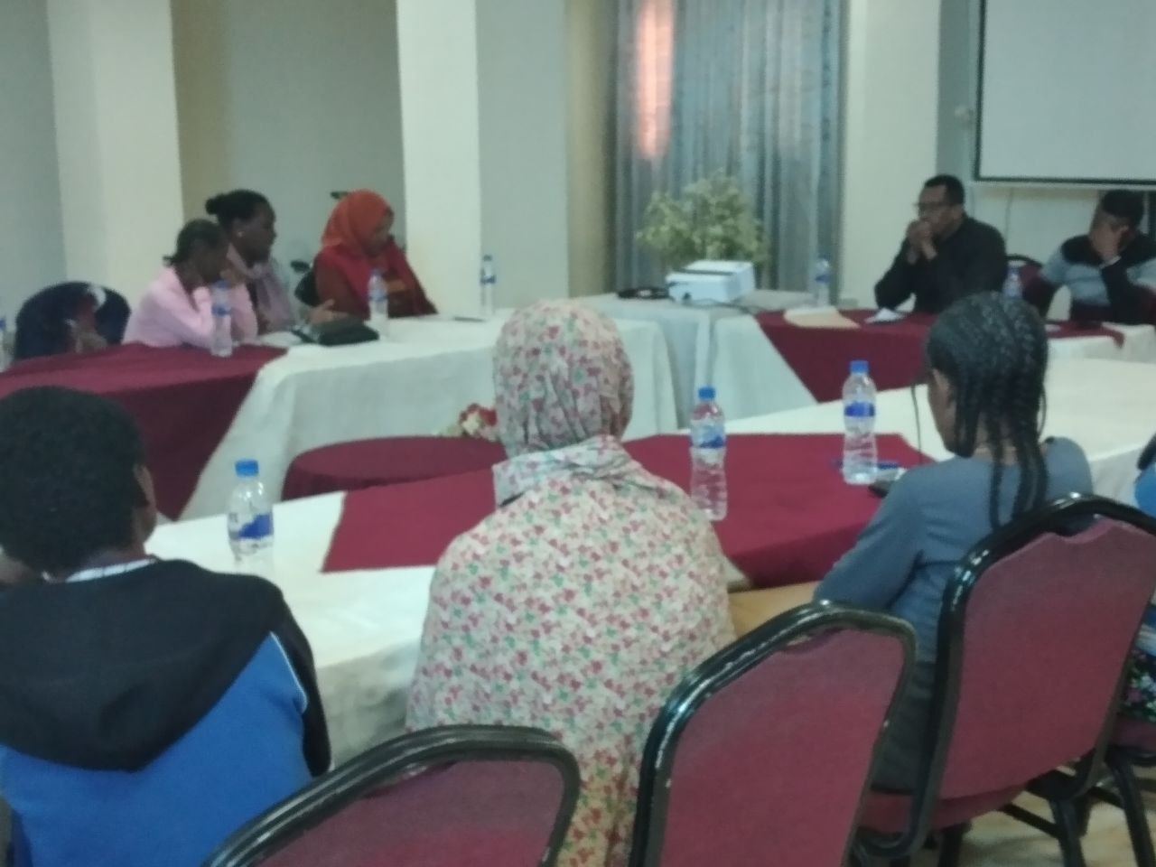 Panel Discussion with Key Stakeholders on Women with Disabilities photo 2